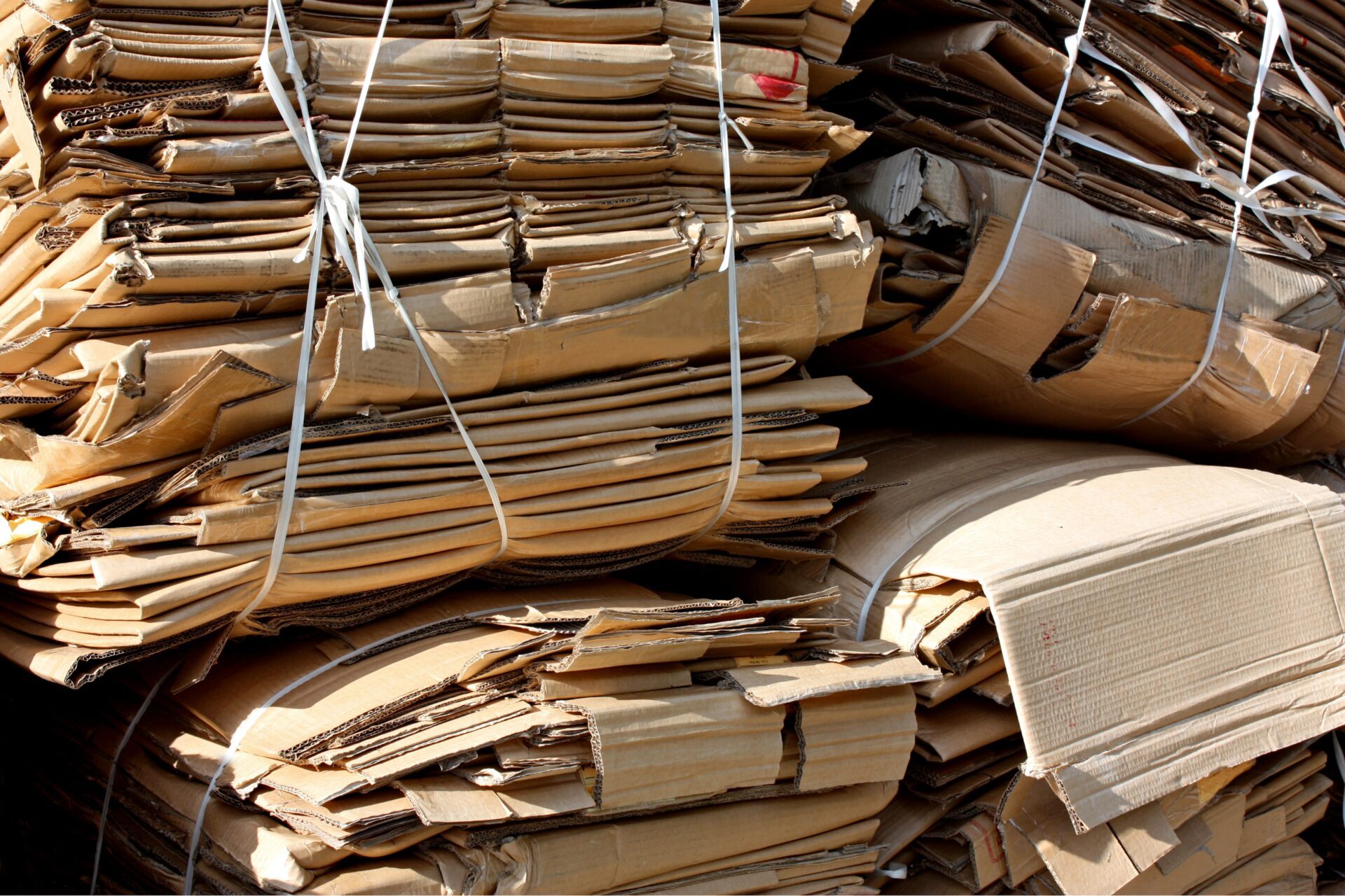 Why Guelph Twines’ Flat Ribbon Twine is Perfect for RASSPE Tying & Binding Machines